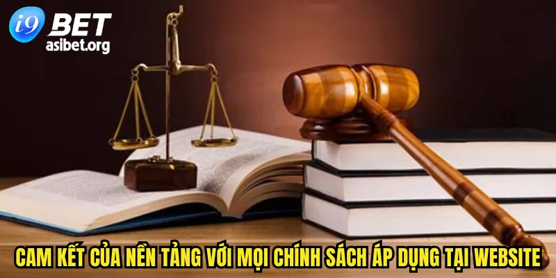 Cam kết của nền tảng với mọi chính sách áp dụng tại website